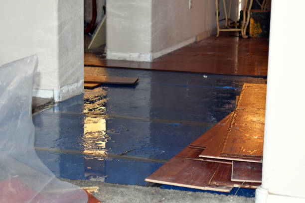 Professional Basement Flood Cleanup technician working in Independence, KS